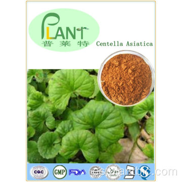 Suministro de fábrica Pure Planta Natural Extracts Extracto Centella